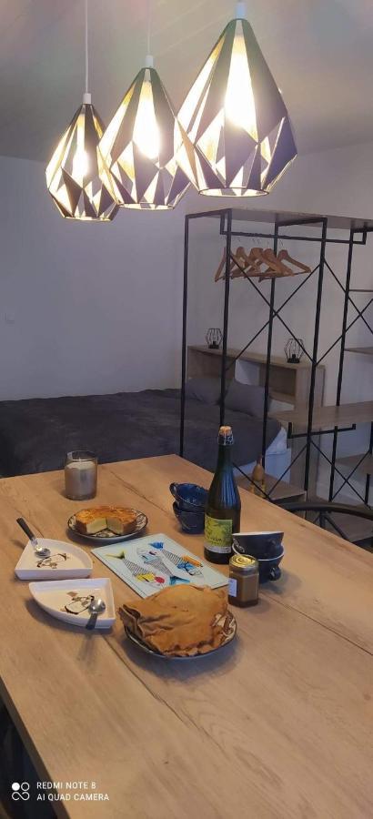 Studio Des Thoniers Apartment Concarneau Ngoại thất bức ảnh